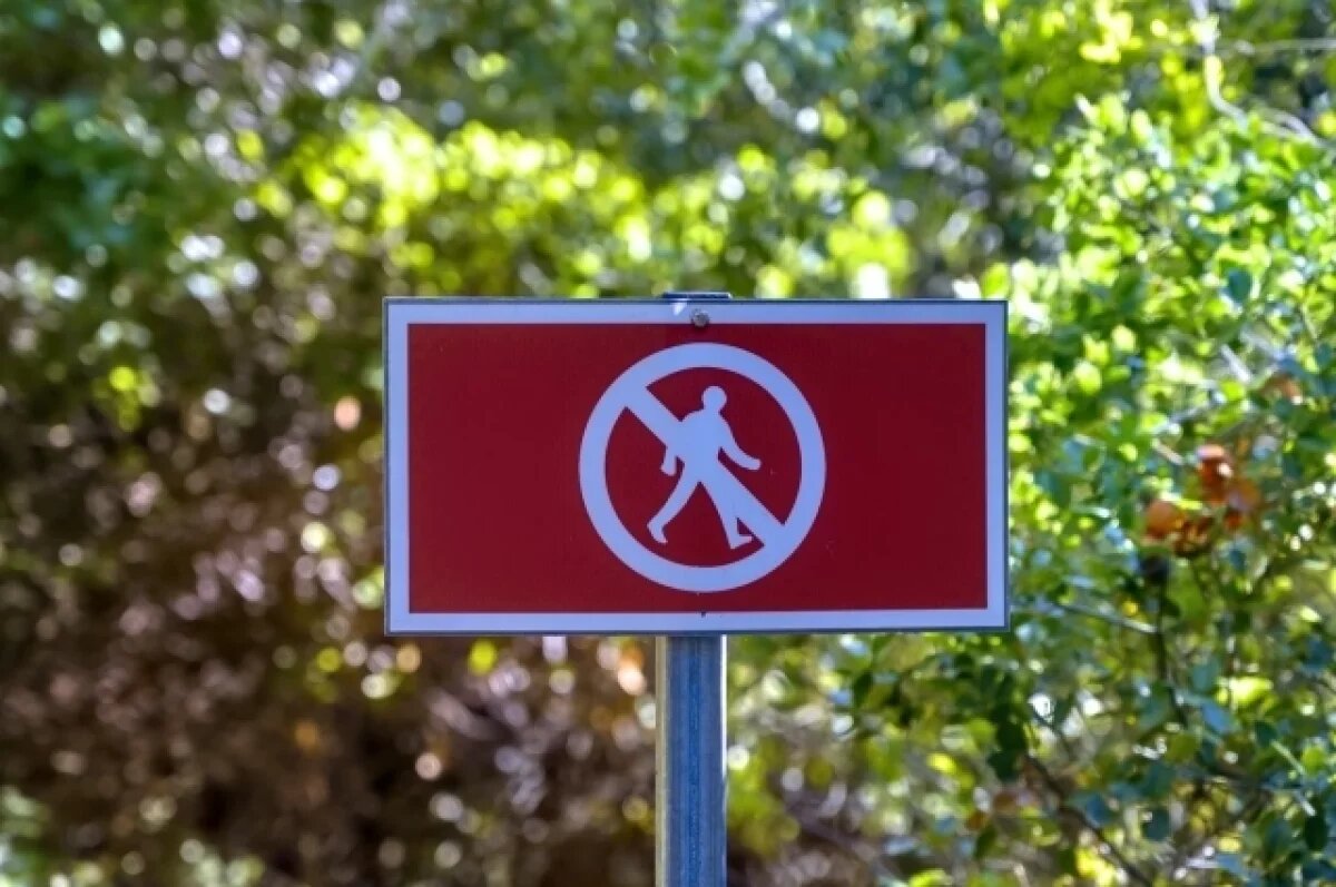    Прогулка может стоить 200 тысяч рублей