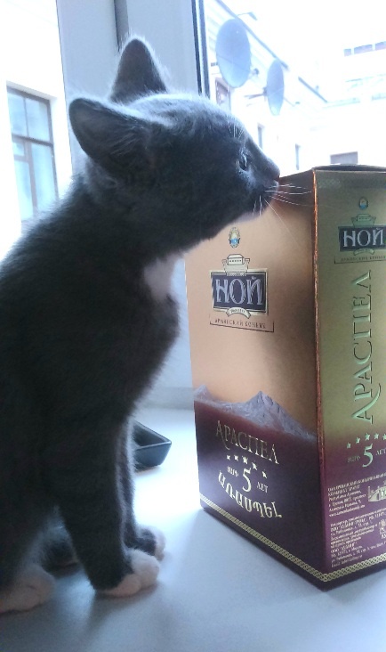 А я предупреждал, не пей всякой бяки. Пей кефир. (С) Яша