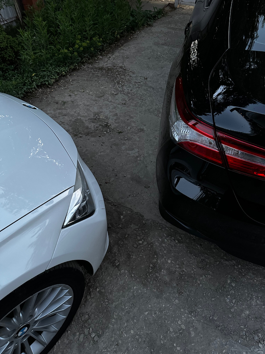 Весь семейный подряд чист и свеж.