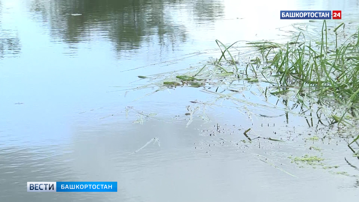    В Стерлитамаке очистили берег реки Ольховки