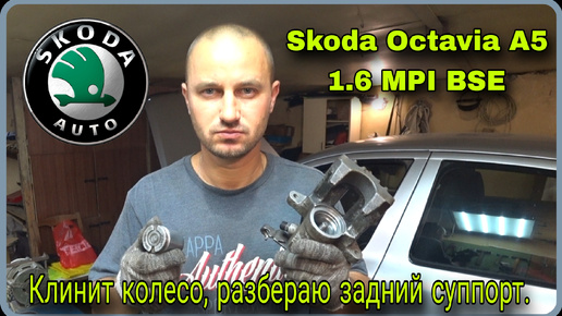 Замена пыльника заднего суппорта Skoda Octavia A5 1.6 MPI BSE