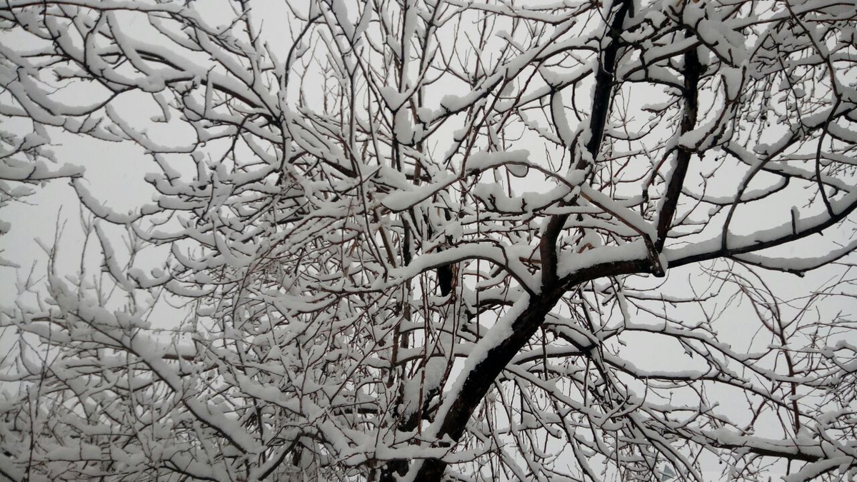 Фото автора.