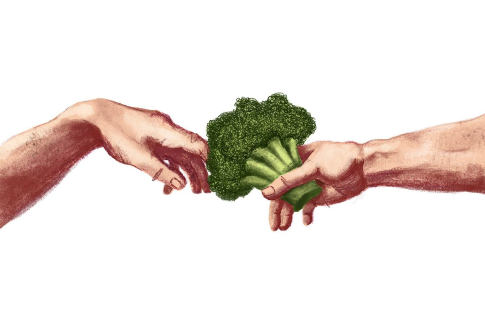 картинка взята на просторах интернета