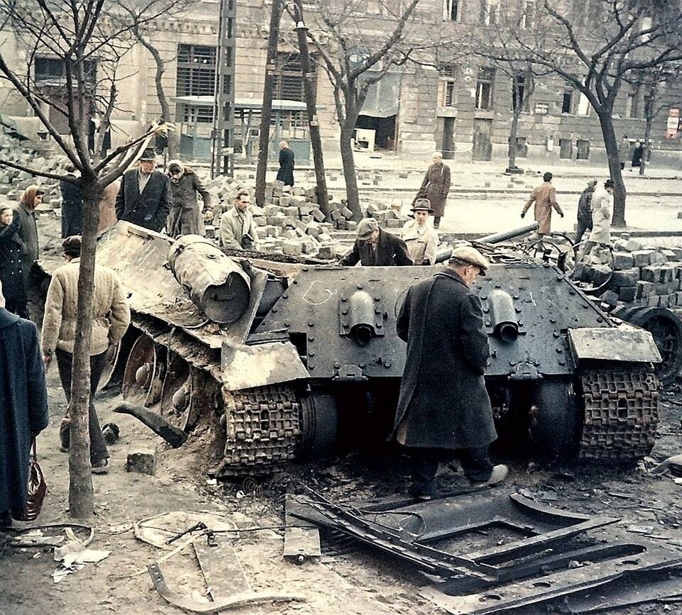 Фото из Интернет. 