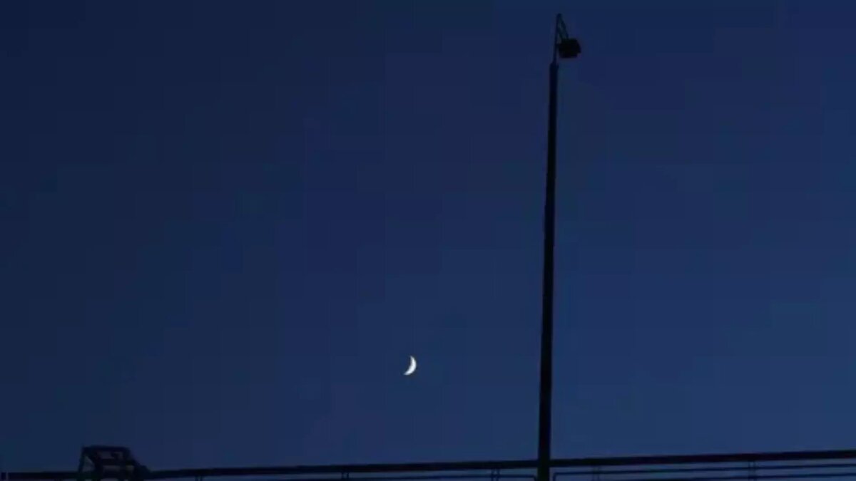     Источник: 1MI