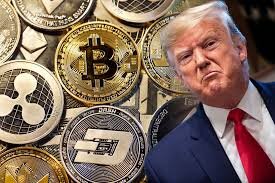 BTC и Trump