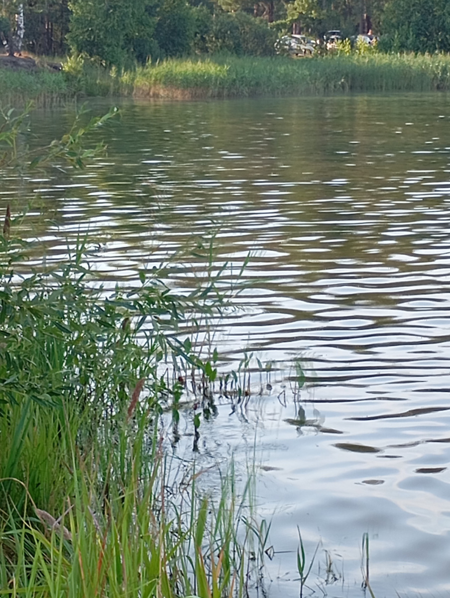 Вот на пруду очень хорошо, воздух влажный, приятный 💦