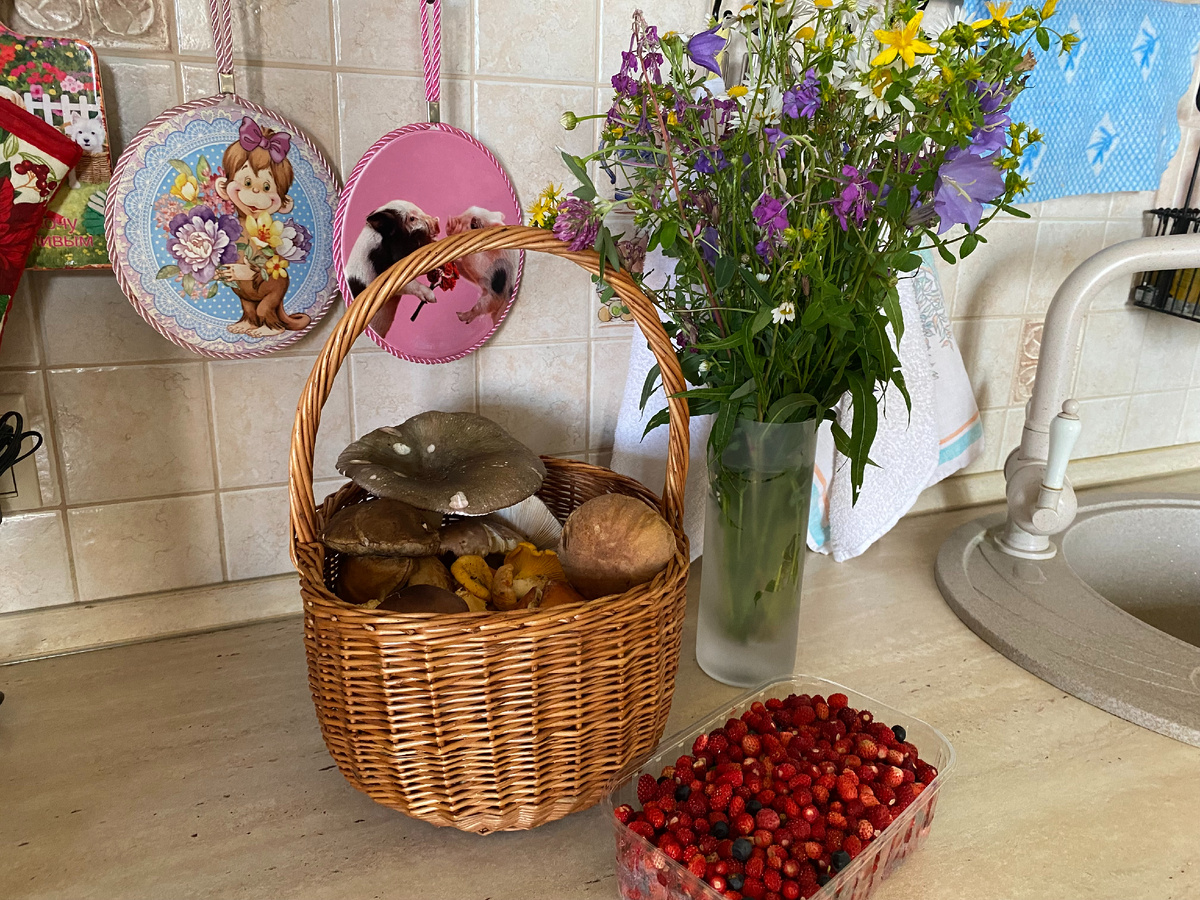 Это июньский урожай... Фото автора