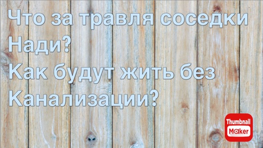 Всё в кучу. Что за травля соседки Нади? Как будут жить без канализации?