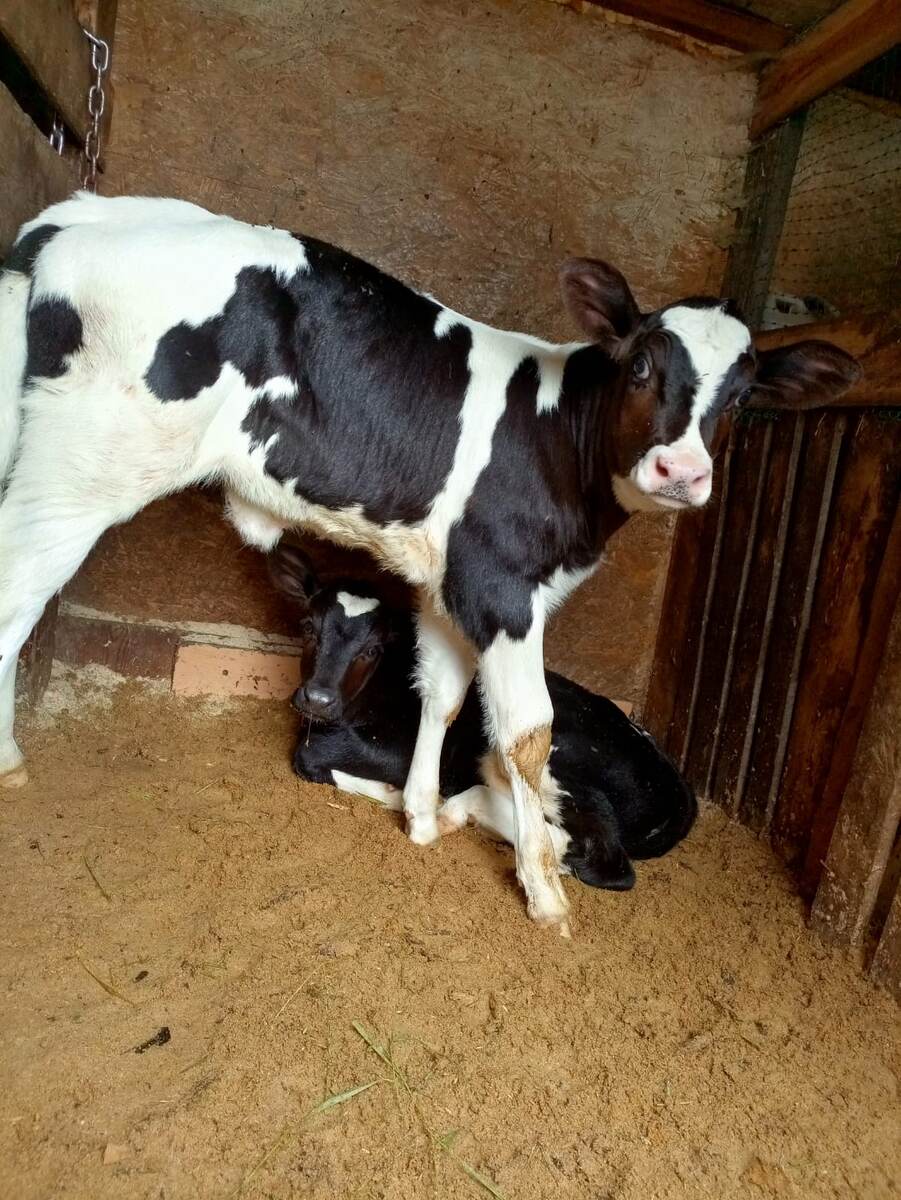 Фото из архива нашего лпх.