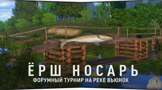 Ёрш носарь на реке Вьюнок • Форумный турнир • Русская Рыбалка 4