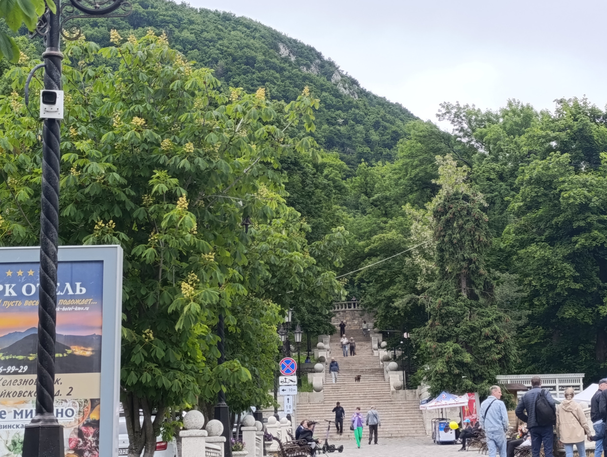 Дорога к Курортному парку