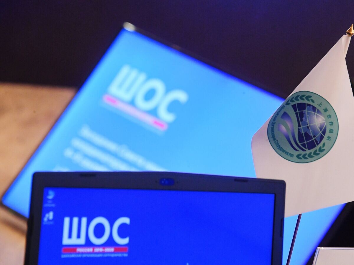    Заседание Совета национальных координаторов государств ШОС. День первый© Фотохост-агентство sco-russia2020.ru