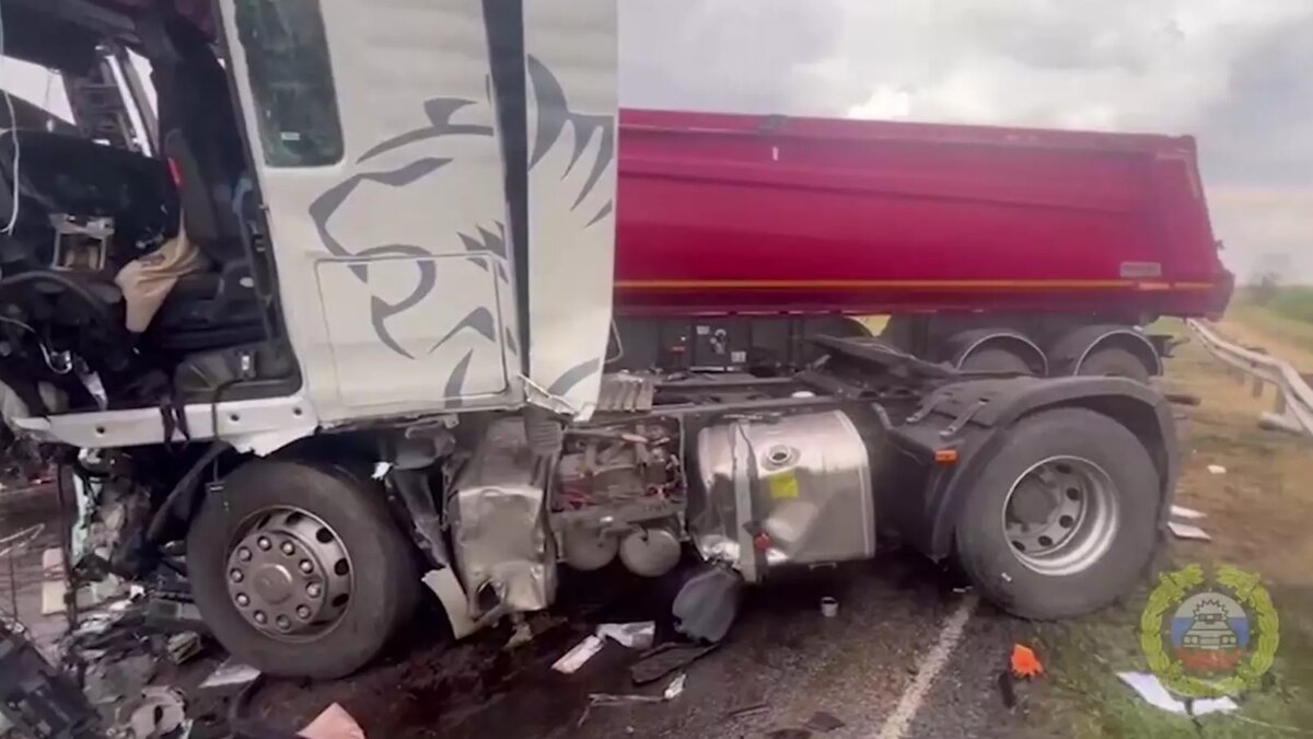     Источник: ГУ МВД по Волгоградской области