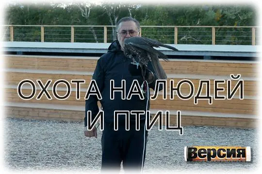 Кто и зачем обвинил директора сокольничего центра «Камчатка» Шухрата Разакова в незаконной добыче краснокнижных кречетов (на фото Ш.Разаков) (фото: kamgov.ru) 