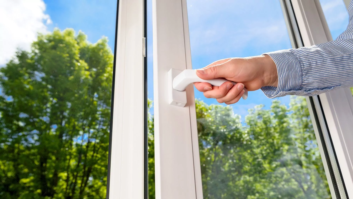 Фотография взята из источника yandex.ru