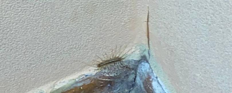    Фото: Светлана Волобуева