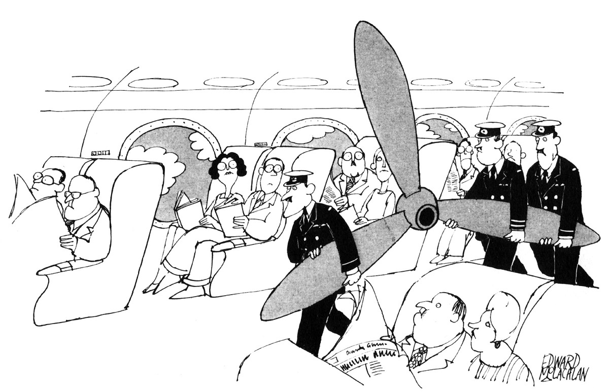 Иллюстрация: Edward McLachlan