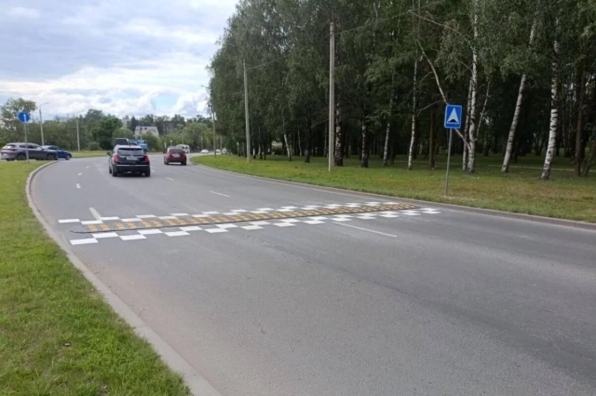    «Лежачие полицейские» появились у Дендропарка в Пскове