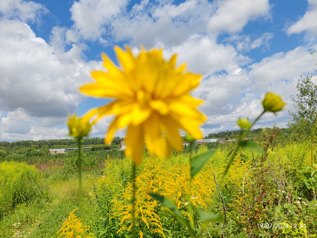 Фото автора канала. 