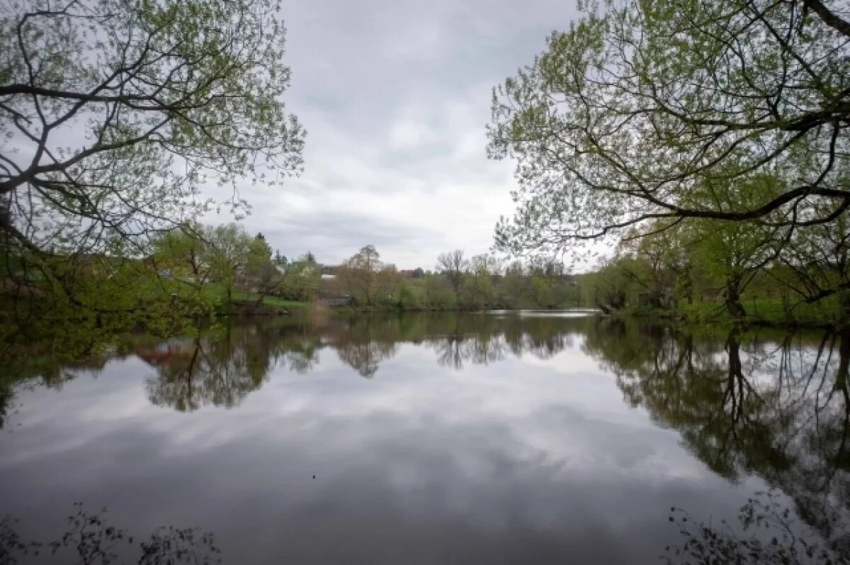    Тульский эколог рассказала о причинах загрязнения воды в реках