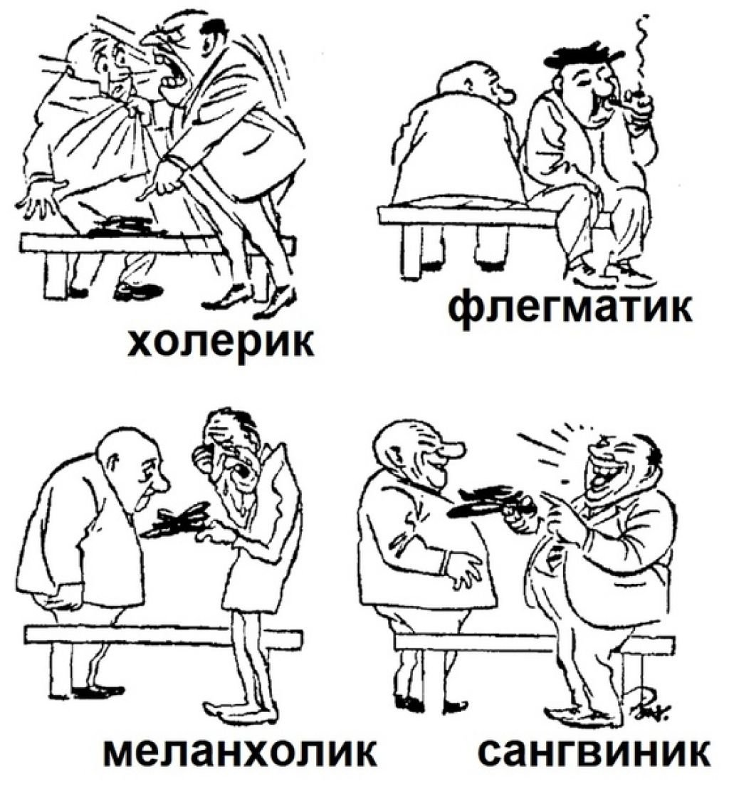 Гиппократ выделил 4 основных типа темперамента. Они получили названия по типу преобладающей в организме жидкости: 1) Сангвиник - преобладает кровь; 2) флегматик - преобладает лимфа (слизь); 3) холерик - преобладает желчь, 4)меланхолик - преобладает черная желчь.