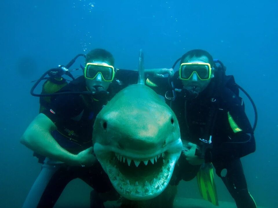 Фото из интернета