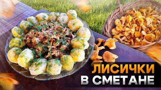 Жареные Грибы. Лисички в сметанном Соусе с Картошкой.