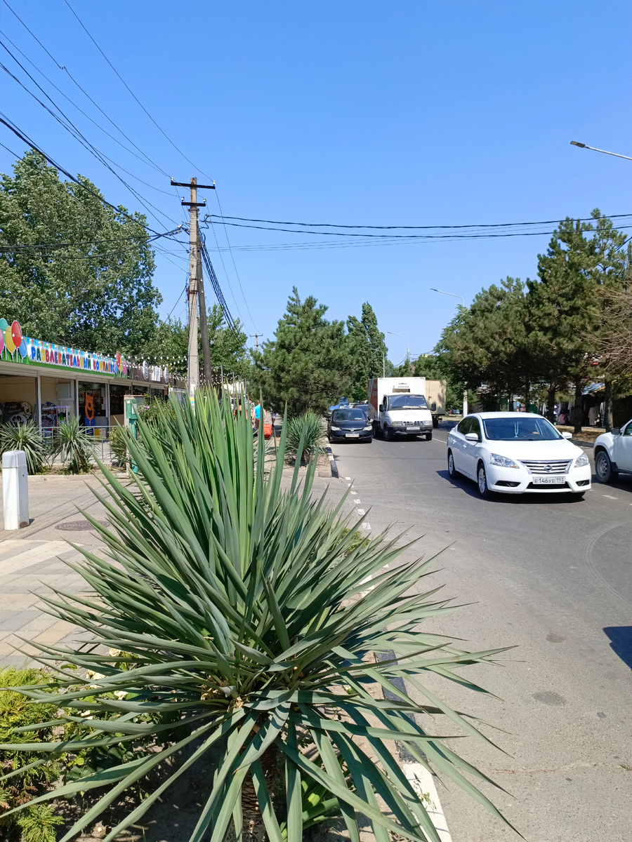 Пионерский проспект. Фото автора.