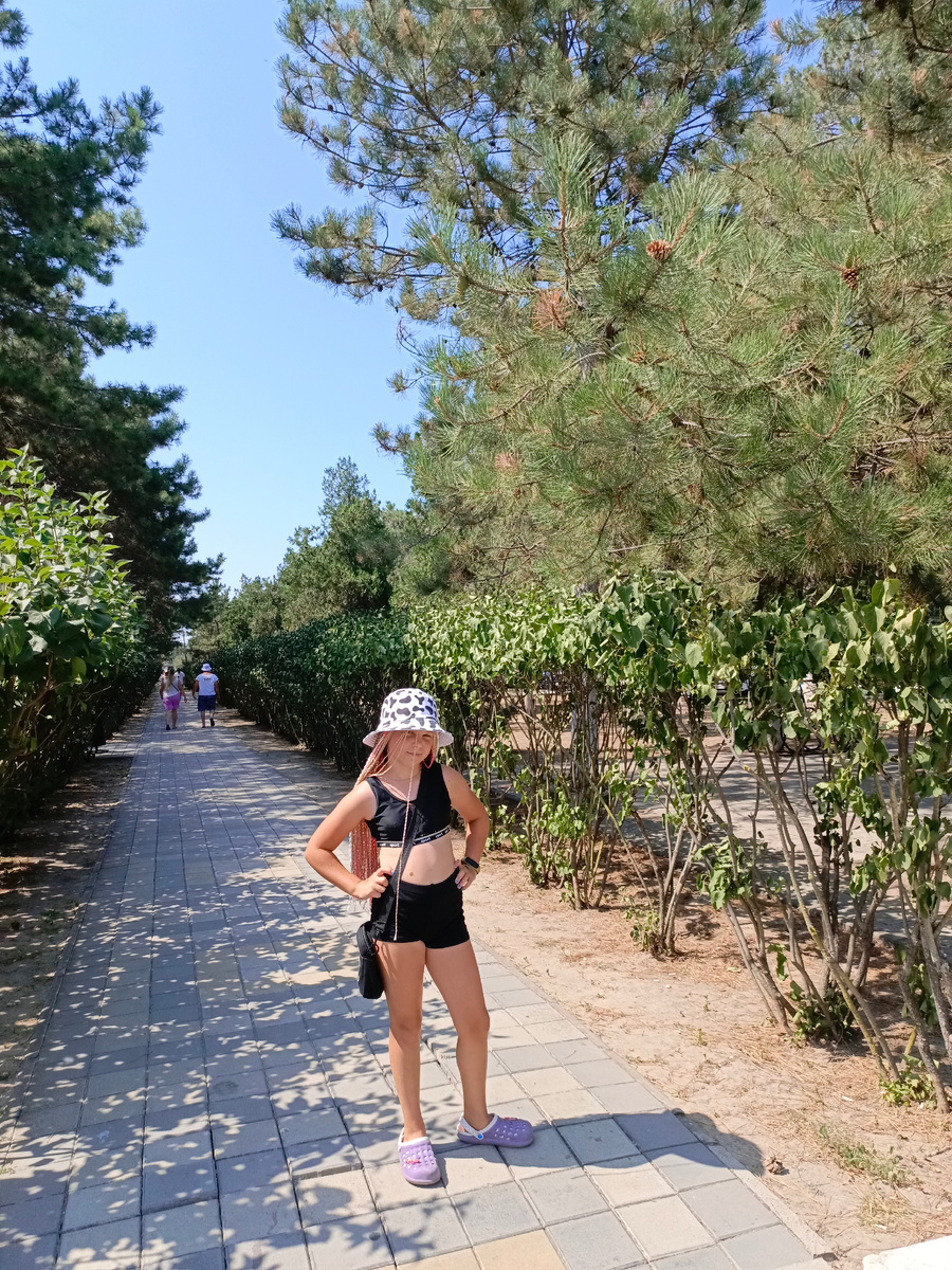 Пионерский проспект. Фото автора.