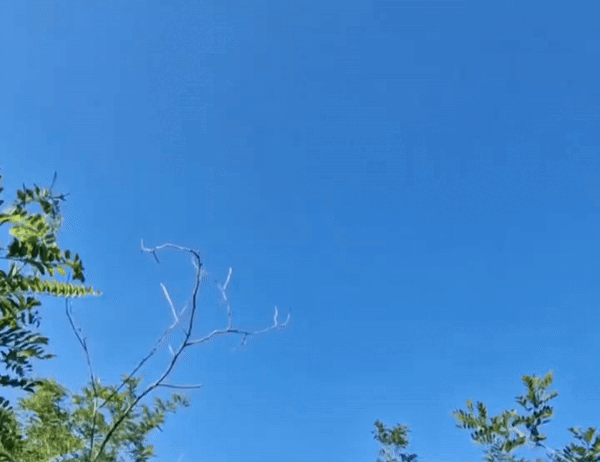 КАДР ИЗ ВИДЕО, СНЯТОГО В ЗОНЕ СВО РУССКИМИ ВОЕННЫМИ И ОПУБЛИКОВАННОГО В КАНАЛЕ БОЙЦА С ПОЗЫВНЫМ "ТОПАЗ"//T.ME/TOPAZ_PENETRATOR