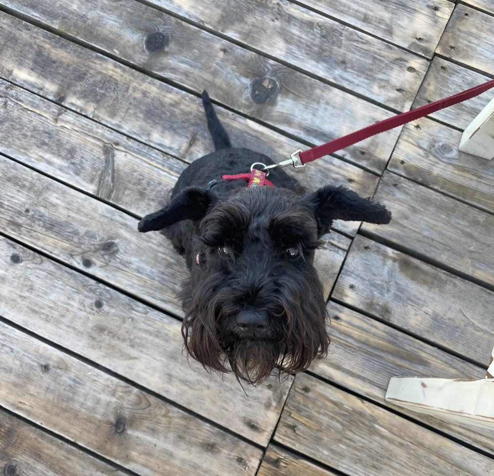 Говорю же - выспалась!)