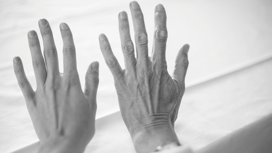     Источник здесь и далее: unsplash.com