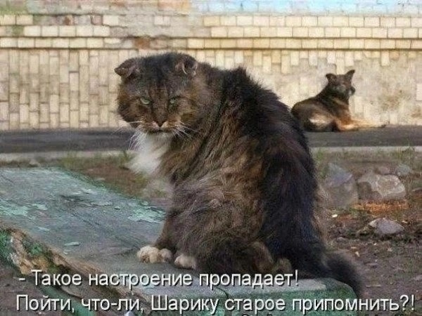 иллюстрация из яндекс картинки.