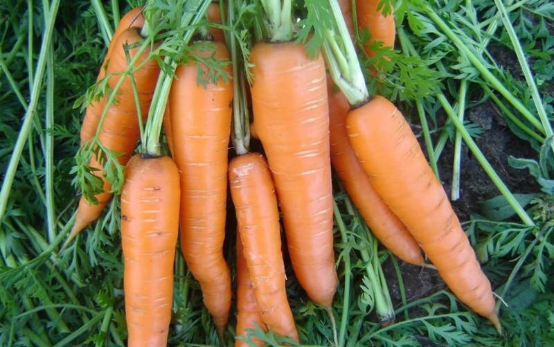 Друзья ,прошу подписаться на мой канал.