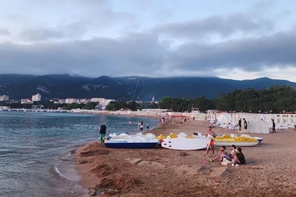    60% отдыхающих Краснодарского края добрались до курорта на автомобиле