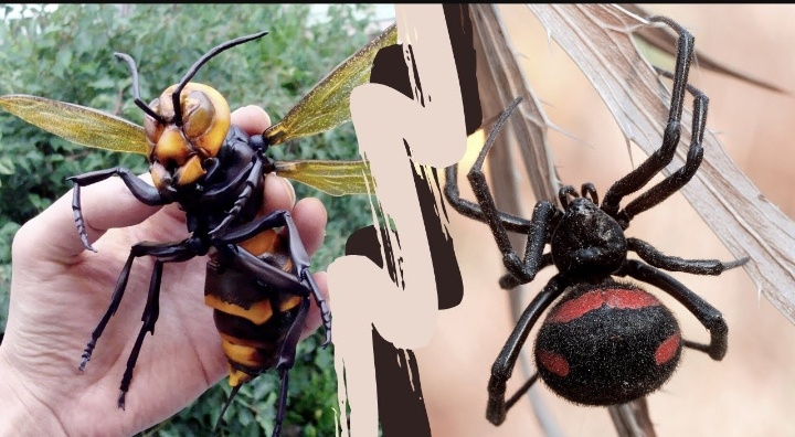 Теперь ты будешь относиться к насекомым еще хуже, чем раньше!