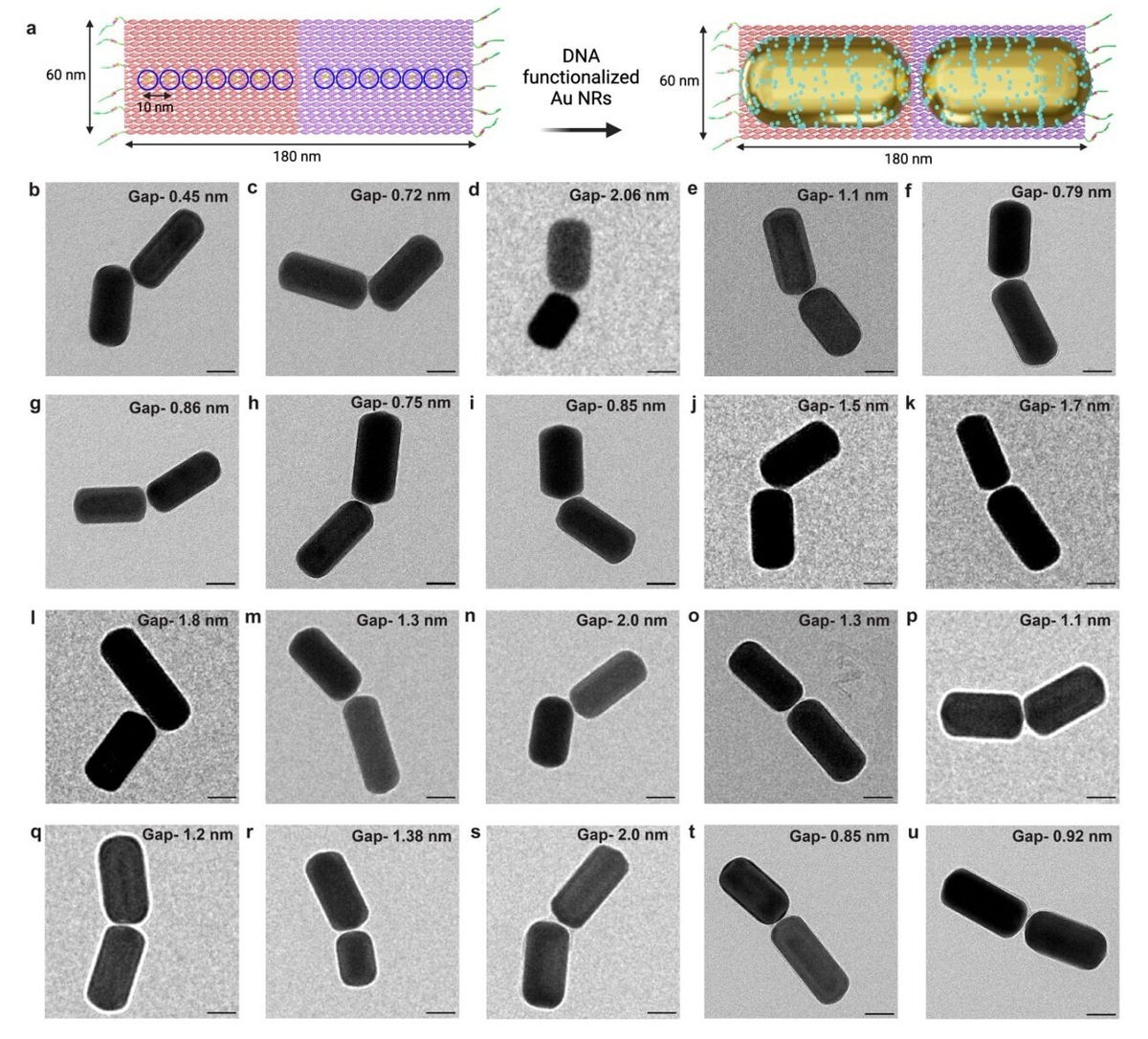    Advanced Functional Materials