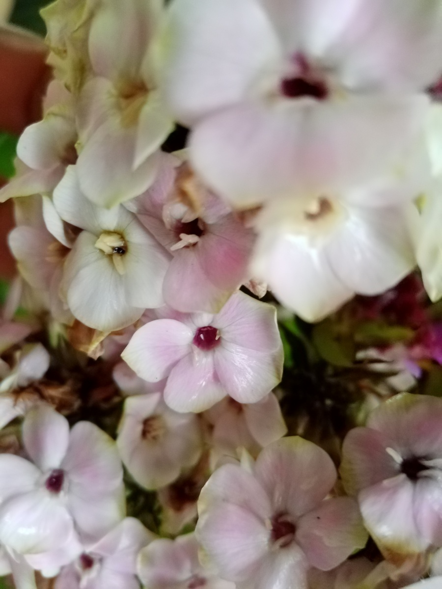 фото из личного архива.