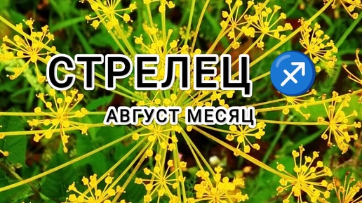 СТРЕЛЕЦ ♐ тароскоп Август месяц &SAGITTARIUS taroscope for the month of August