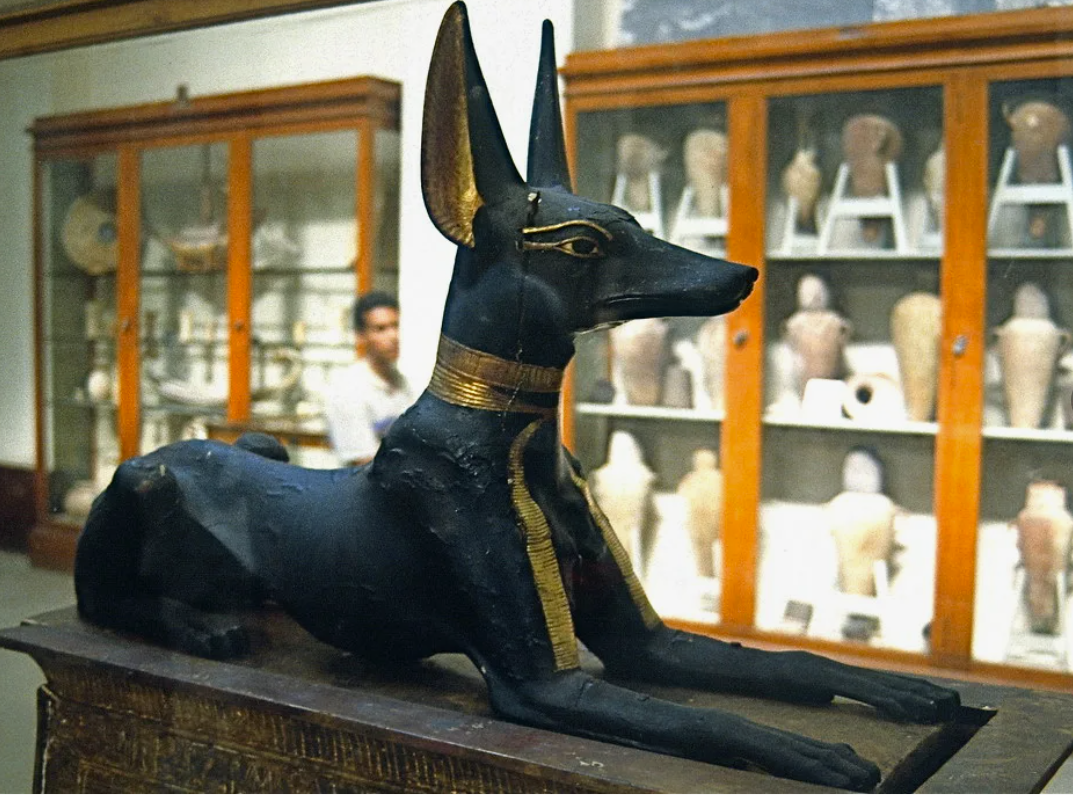 Древнеегипетское божество смерти Анубис не имеет отношения к мифу о загробной собаке, т. к. Анубис - шакал. В Древнем Египте мертвых хоронили в неглубоких могилах, из-за чего до останков добирались прожорливые шакалы и возникла соответствующая ассоциативная связь. В античный период представления египтян об Анубисе подверглись греческому влиянию. Статуя Анубиса в Национальном музее Египта в Каире, 1336–1327 гг. до н. э.