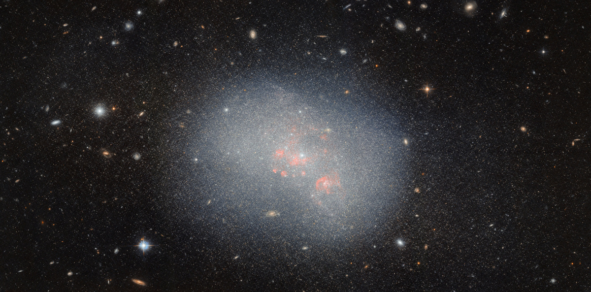 Запечатлённая «Хабблом» карликовая галактика NGC 5238.    
 Источник: ESA / Hubble & NASA, F. Annibali  📷
