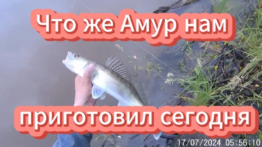 Продолжаем рыбалку. Что Батюшка Амур нам сегодня приготовил 🐠