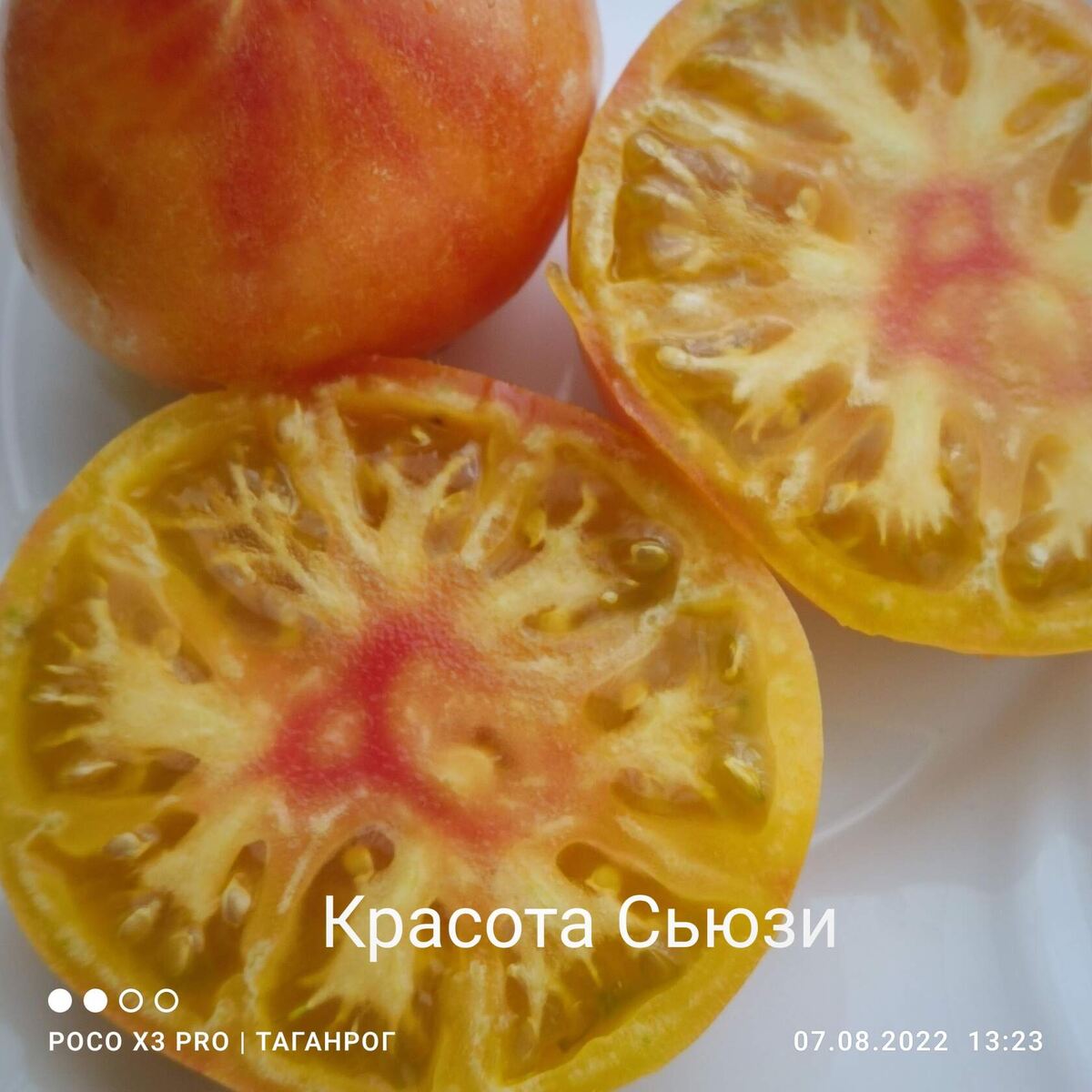 Красота Сью один из первых гномов в моей коллекции