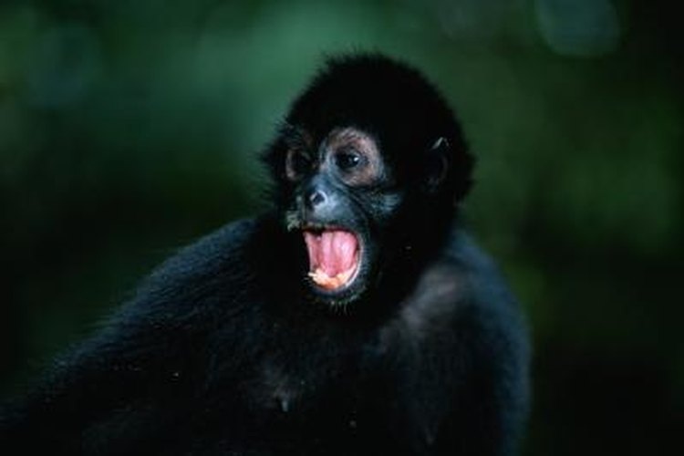 Изображение взято в сети интернет