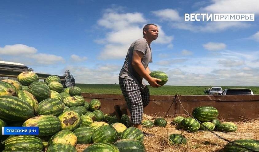    Источник фото: