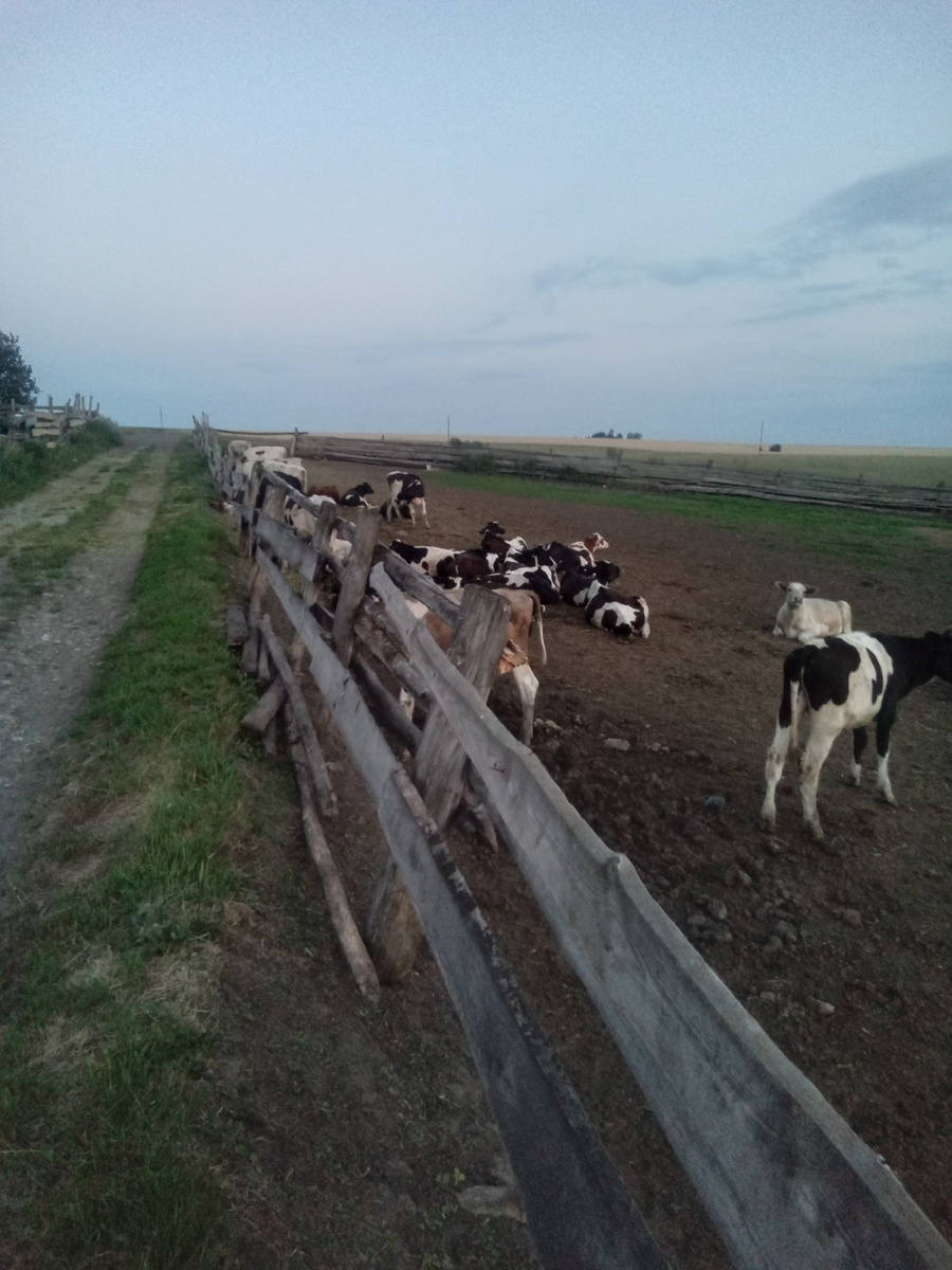 Фото автора. 