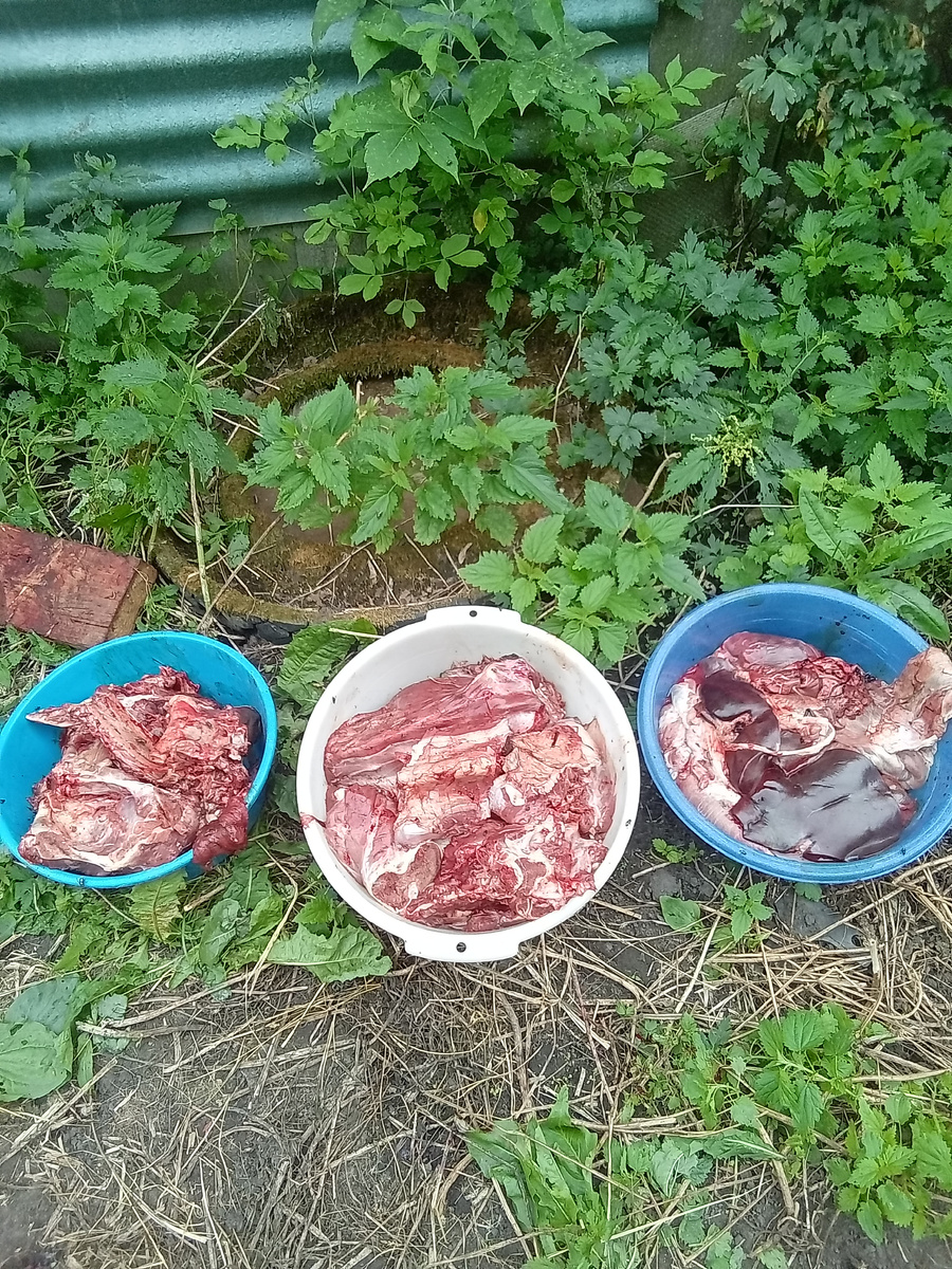 Фото автора. 