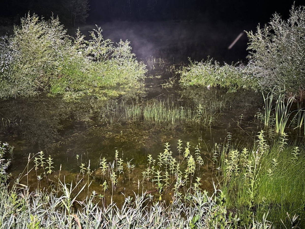 Территория, на которой проходили поиски