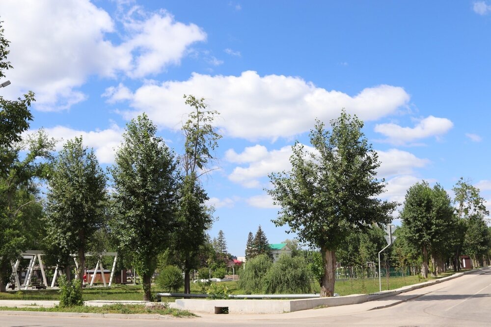 Вид парка с перекрестка улиц Декабристов и Жигулевская.